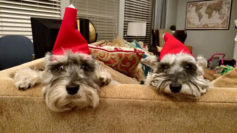 2015-12-23 08-24-08.jpg
